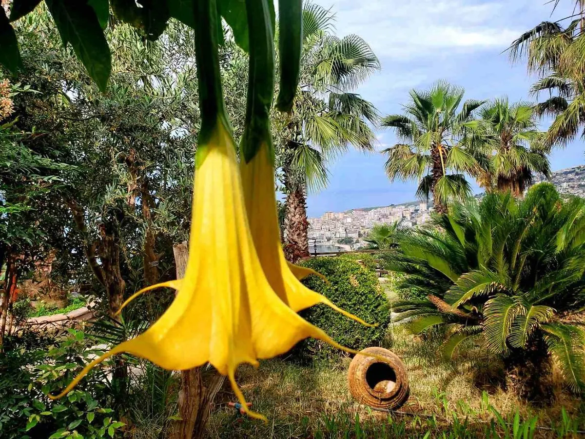 Country house Villa Kristiano 21 Sarande Albania